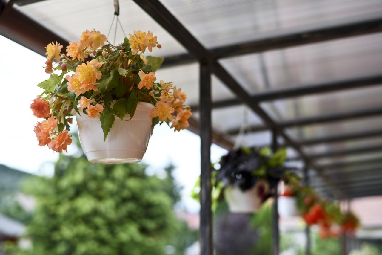 Rajna Villabridge&Spa Bogacs Ngoại thất bức ảnh